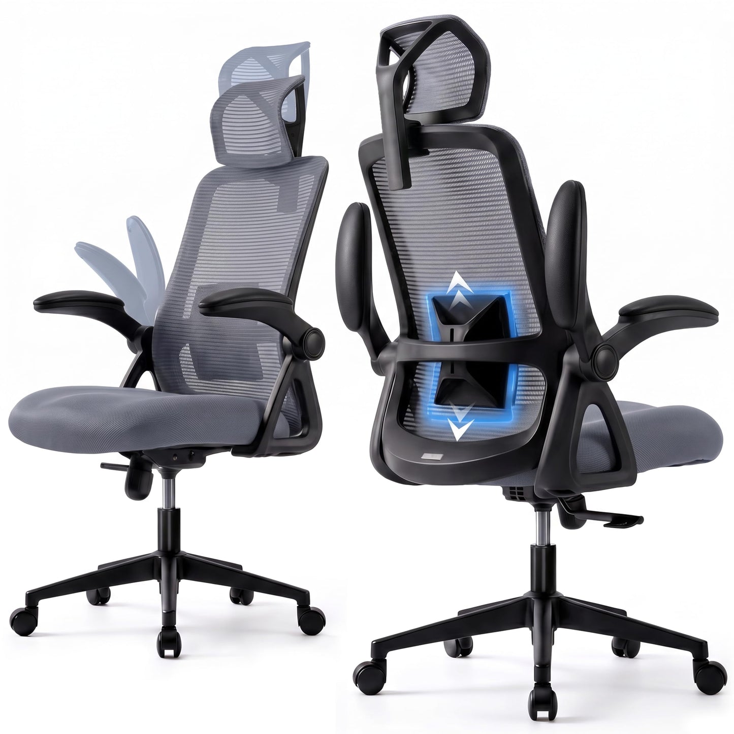 Realm of Thrones Mesh Ergonomic Office Chair, Back Support and Long Hours