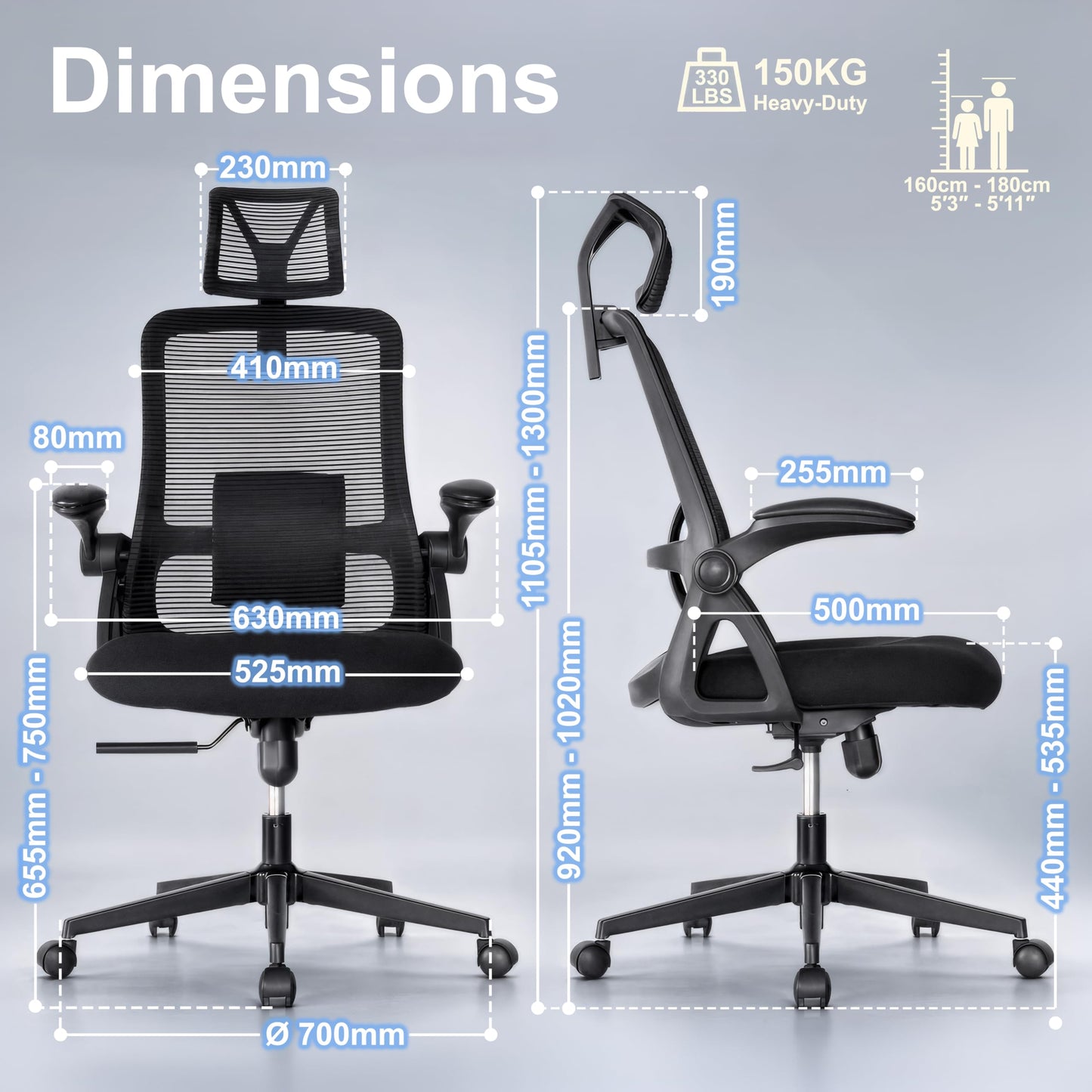 Realm of Thrones Mesh Ergonomic Office Chair, Back Support and Long Hours