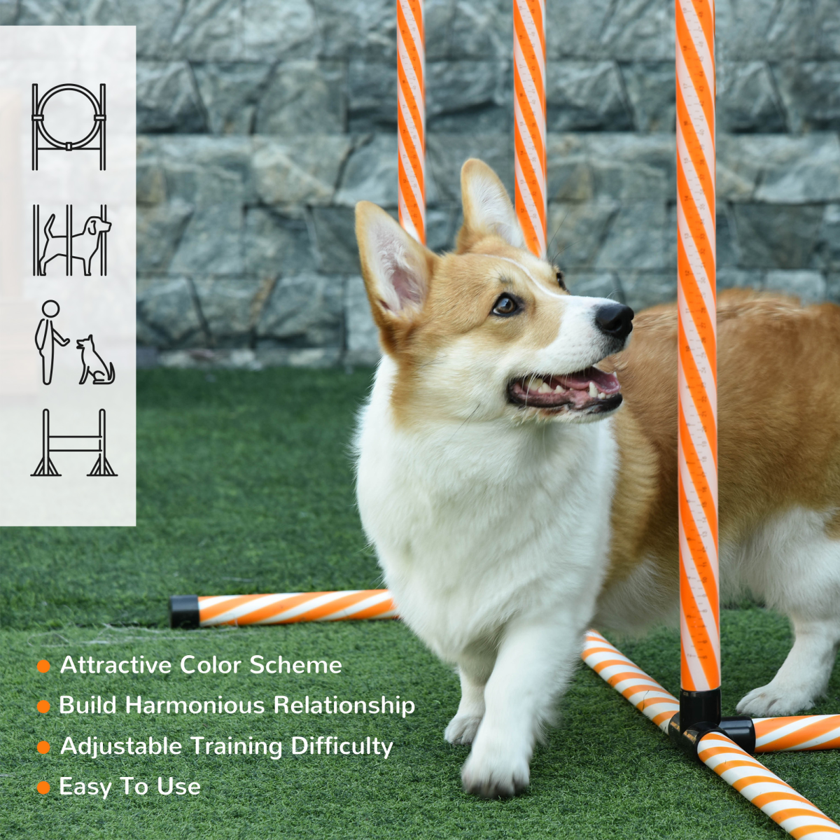 Pet Agility Training Equipment Dog Play Run Jump Hurdle Obedience Training Set