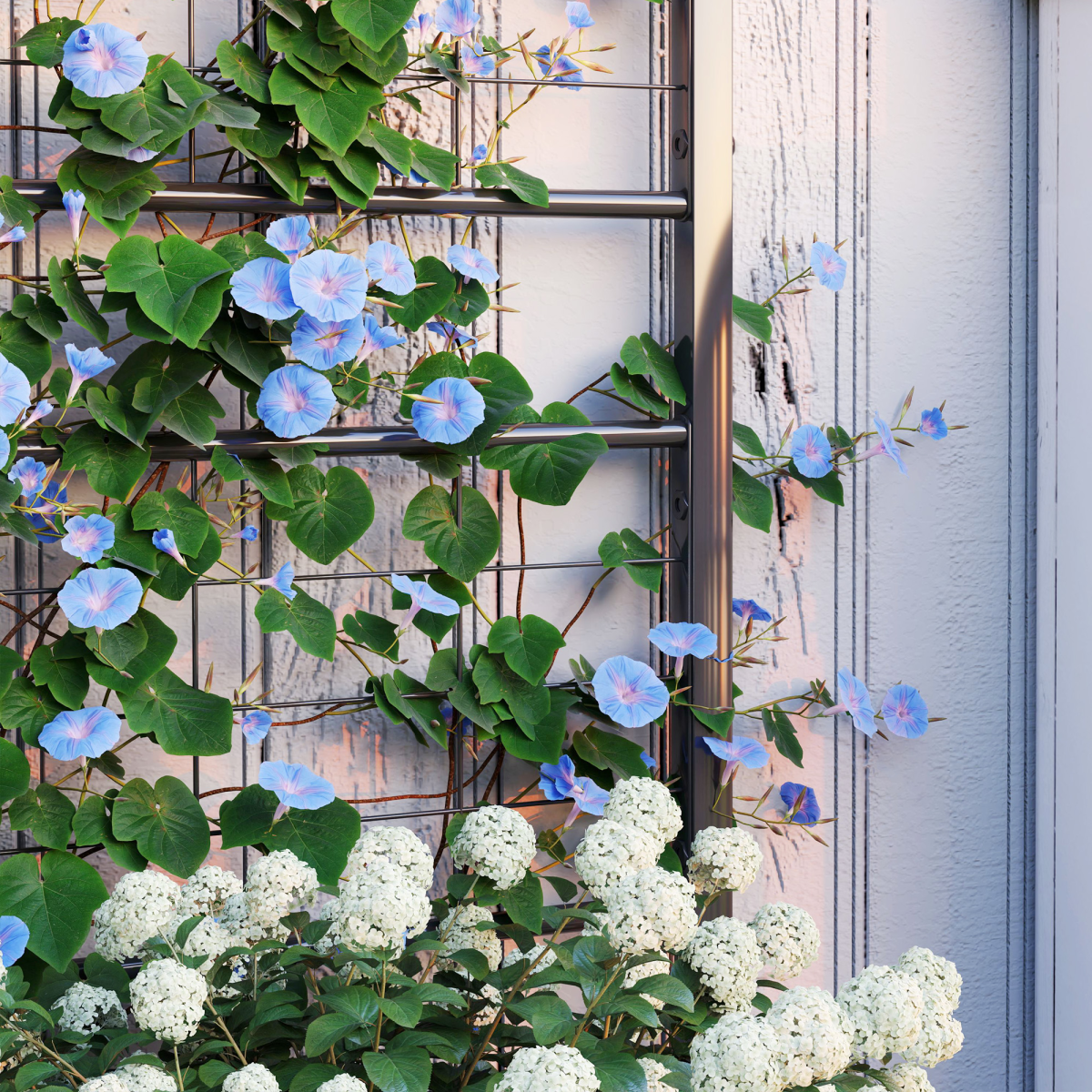 Durable Trellis Support for Climbing Plants - Enhance Garden Aesthetics