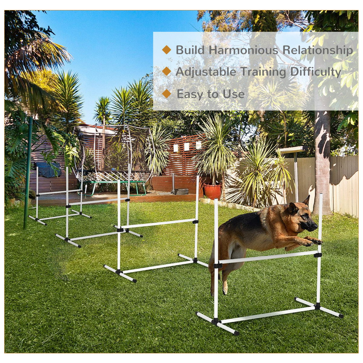 New Canine Agility Set Dog Jumping Training Obstacles Course Free Standing