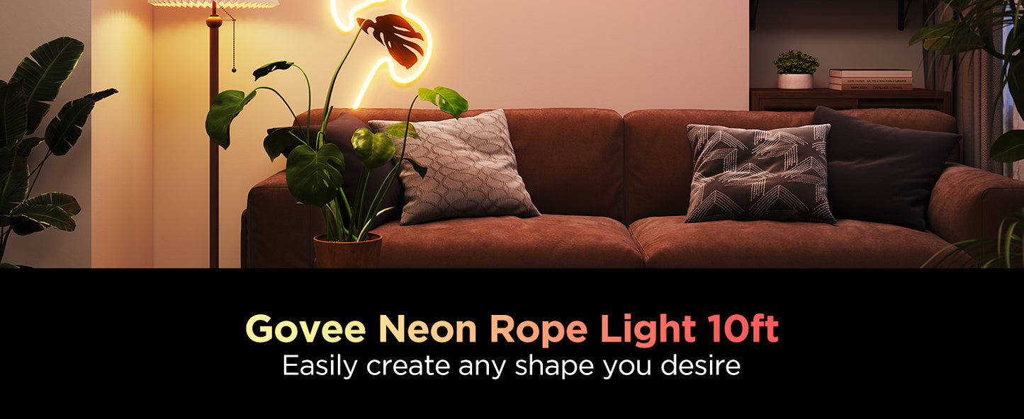 GOVEE NEON ROPE LIGHT 2 - 3M