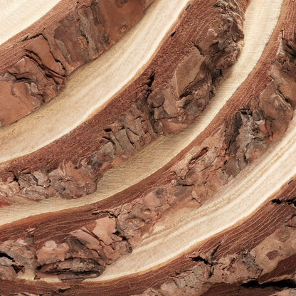 PINGEUI 6 Piece Natural Wood Slices, 23-25 cm Unfinished Wooden Circles with Bark Round Blank Wooden Slices Wood Discs for DIY Crafts, Christmas
