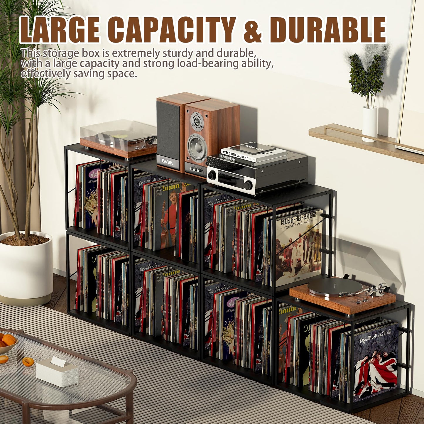 Alytree Vinyl Record Storage Holder for 80-100LPs, Vinyl Record Stand Wall Mount with Movable Divider