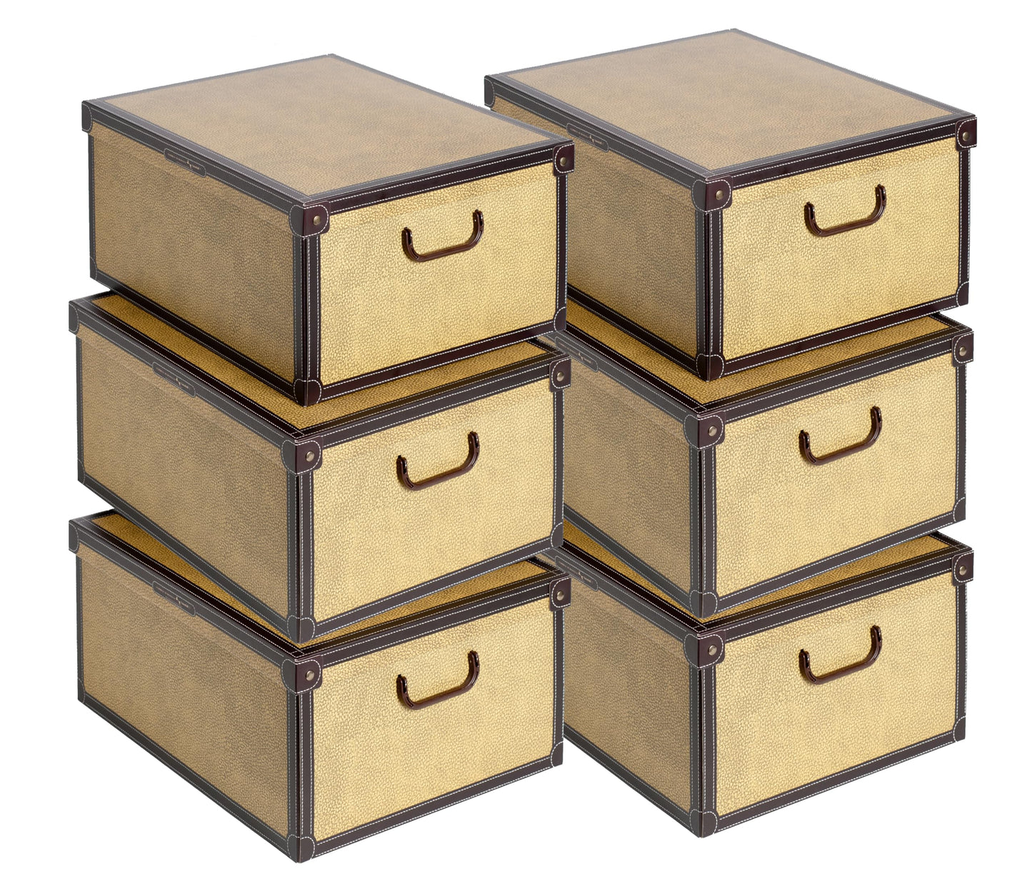 Lavatelli Set of 6 Cardboard Storage Boxes with Lid Tapirus 40x50x25cm