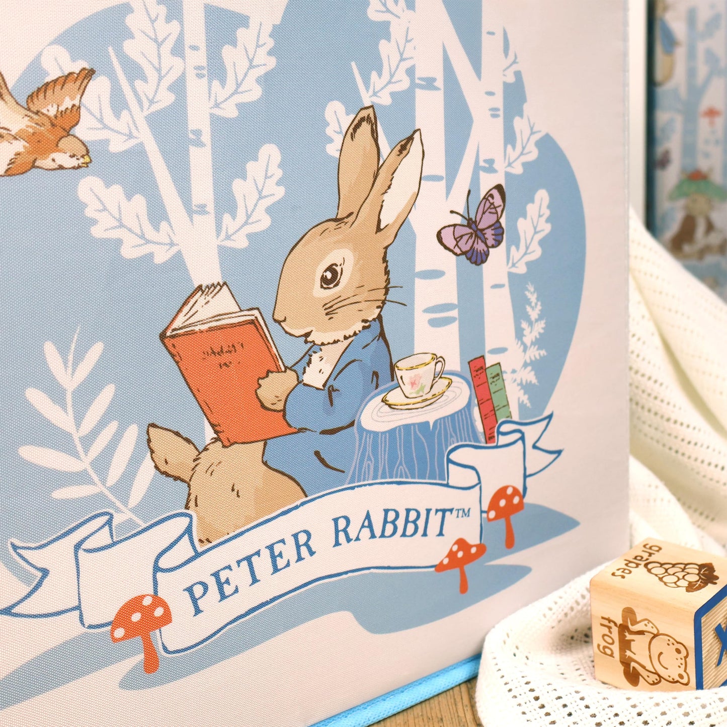 Robert Frederick Peter Rabbit Fabric Storage Cubes – Pack of Two, Large, Blue & White