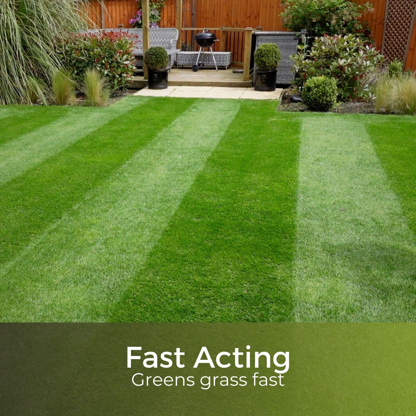 Dark Green Lawn Fertiliser - Autumn/Winter Grass Feed - Fast Acting & Long Lasting - Safe for Gardens - Child and Pet Friendly Turf Thickener - Garden