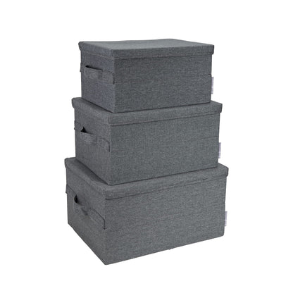 Bigso Box of Sweden Foldable Soft Medium Storage Box for Home and Office - Canvas Wardrobe Organiser with Lid