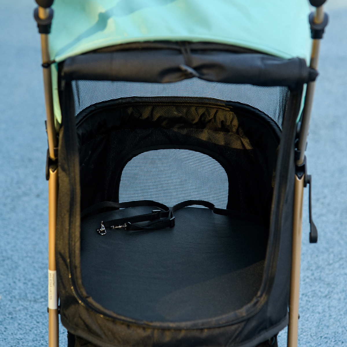 PawHut Pet Stroller for XS and S Dogs with Rain Cover - Green
