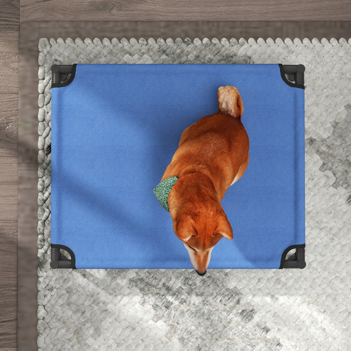 Elevated Pet Bed Cool Cot Dog Cat Portable Folding Home Camping Hammock Foldable