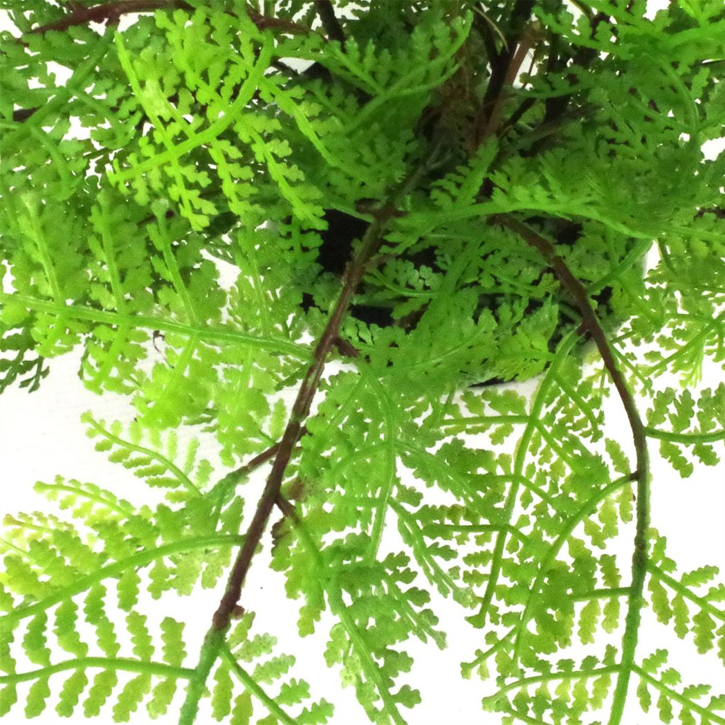 30cm Artificial Potted Lady Fern (Athyrium Filix-Femina)