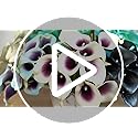 FiveSeasonStuff 10 Stems Real Touch Calla Lilies Artificial Flower Bouquet, Perfect Wedding, Bridal, Party, Home Office Décor DIY (Yellow & White Pistil)