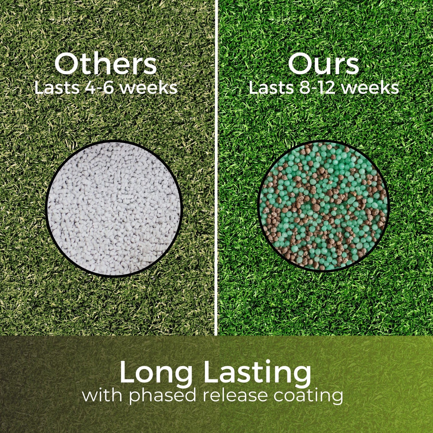 Dark Green Lawn Fertiliser - Autumn/Winter Grass Feed - Fast Acting & Long Lasting - Safe for Gardens - Child and Pet Friendly Turf Thickener - Garden