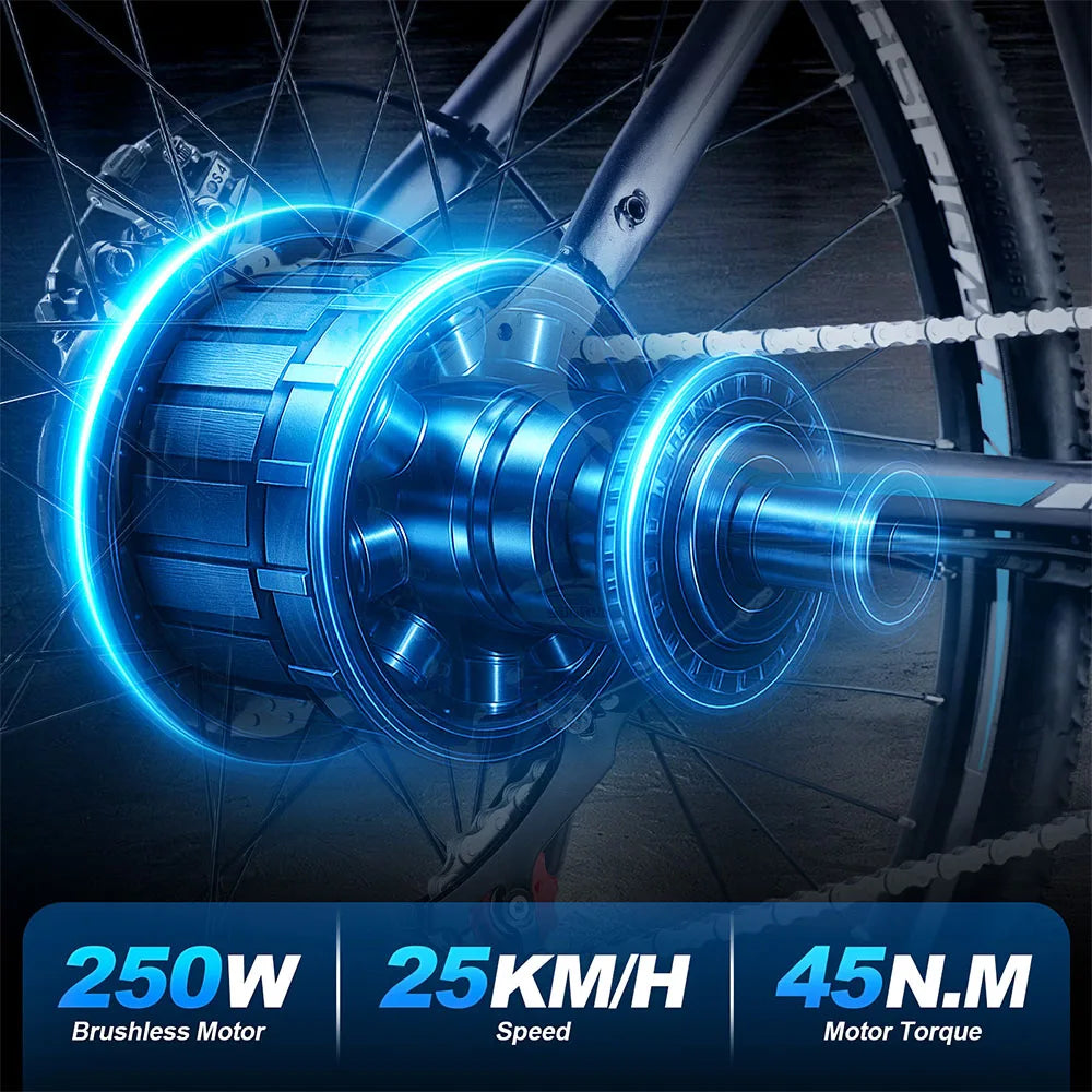 TWOFISH TF-1 Electric Bike, 250W 36V 15Ah Battery, 26" Tires, 25km/h Max Speed, 100km Max Range, Disc Brakes, Front Suspension