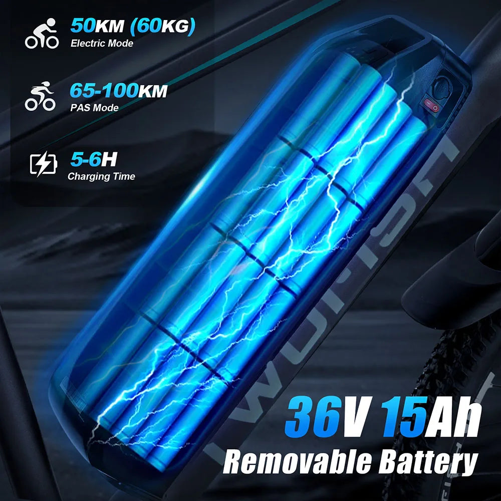 TWOFISH TF-1 Electric Bike, 250W 36V 15Ah Battery, 26" Tires, 25km/h Max Speed, 100km Max Range, Disc Brakes, Front Suspension
