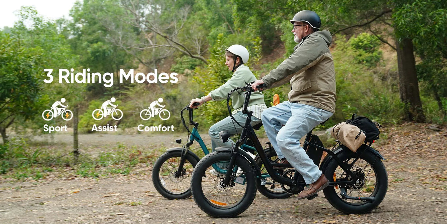 Urlife E20 Pro 1500W E-Bike Commuter 20x4" Tires 48V Removable LCD Display Speed 7-Speeds Hydraulic Disc Brakes For Adults