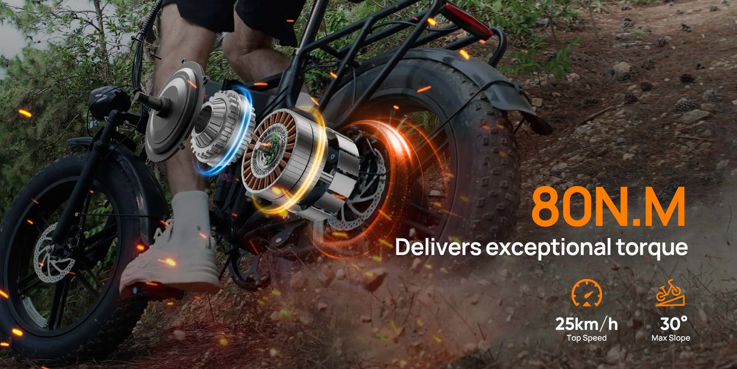 Urlife T5 Electric Bike 1500W E-Bike 48V 13Ah Battery 28MPH 100Mile Range 20X4" Fat Tire Free Shipping Foldable and portable