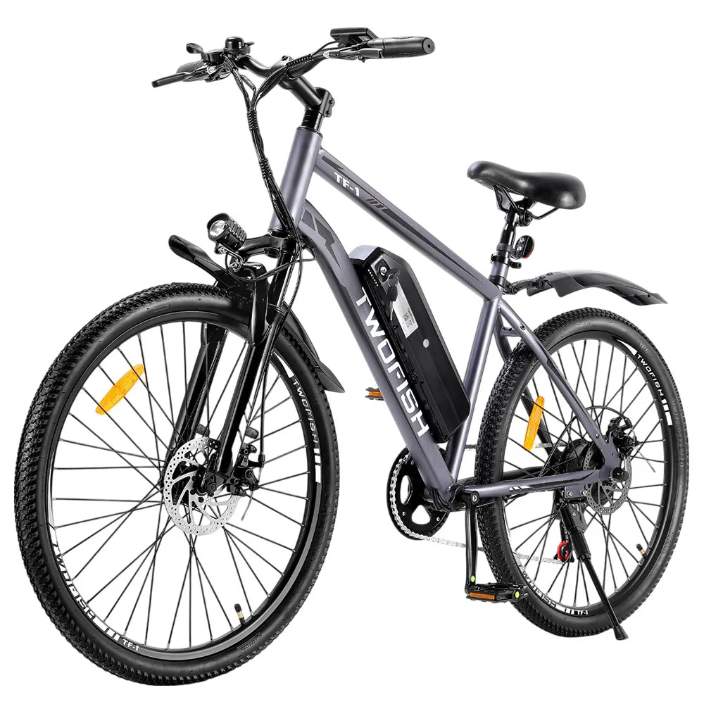 TWOFISH TF-1 Electric Bike, 250W 36V 15Ah Battery, 26" Tires, 25km/h Max Speed, 100km Max Range, Disc Brakes, Front Suspension