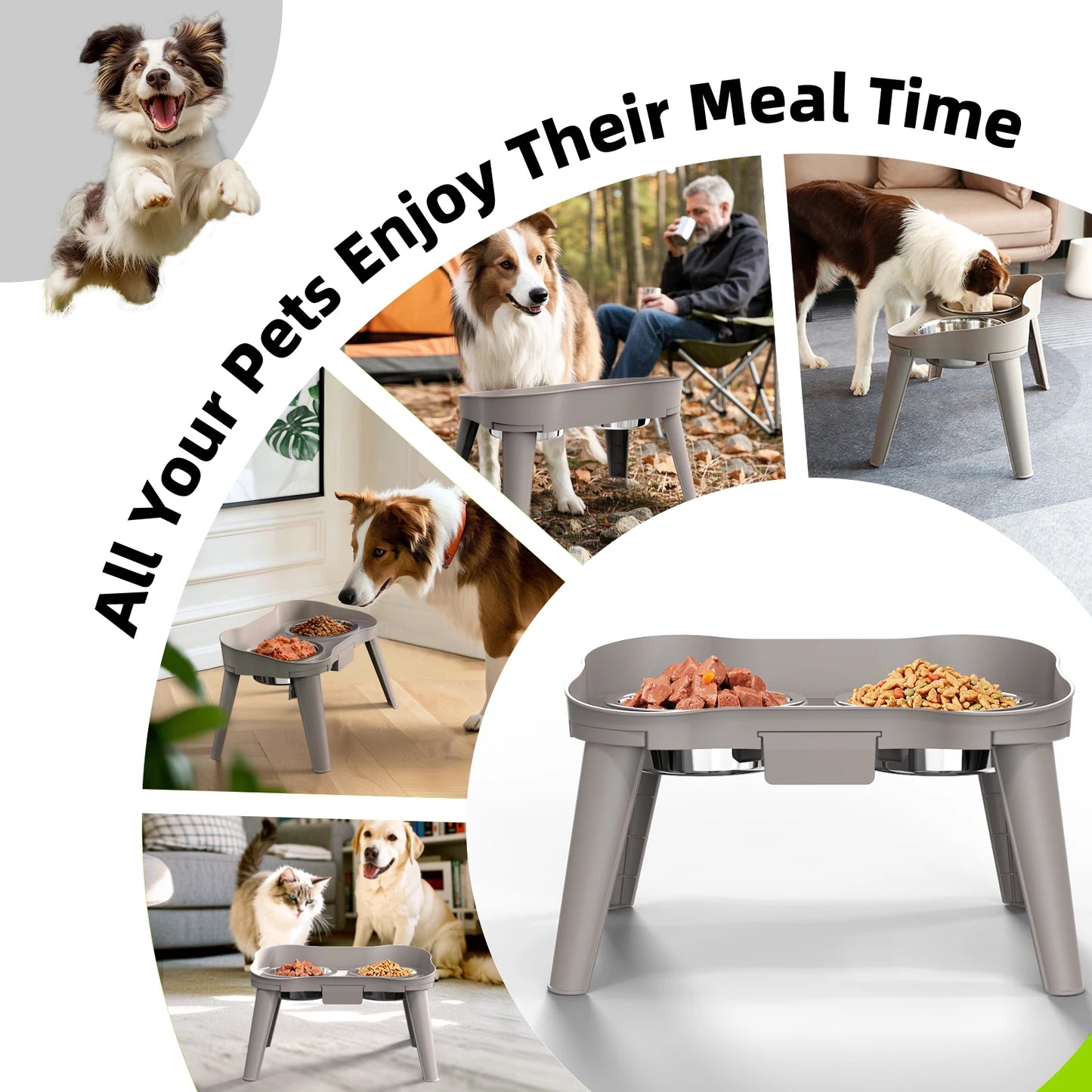 Elevated Dog Bowl Holder, Adjustable Non-Slip Waterproof Gradual Collection Stainless Steel Pet Feeder for Dogs and Cats
