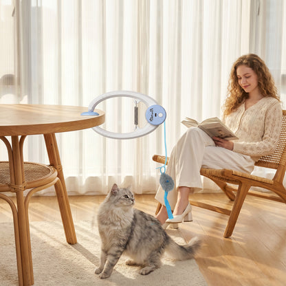 PawHut Interactive Cat Toys for Indoor Kittens & Adult USB Rechargeable Door Hanging Bouncing Mouse Teaser