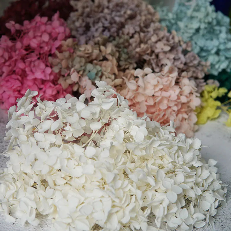 Anna Hydrangea (Color 123-164) Flowers Little Leaves Preserved Hydrangea Home Decor DIY Material Epoxy Resin Handmade Flowers