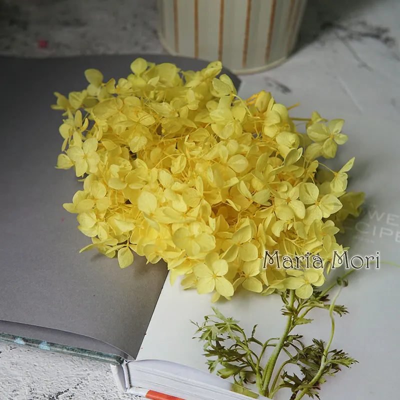 Anna Hydrangea (Color 123-164) Flowers Little Leaves Preserved Hydrangea Home Decor DIY Material Epoxy Resin Handmade Flowers