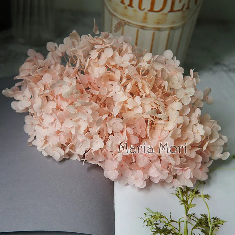 Anna Hydrangea (Color 123-164) Flowers Little Leaves Preserved Hydrangea Home Decor DIY Material Epoxy Resin Handmade Flowers