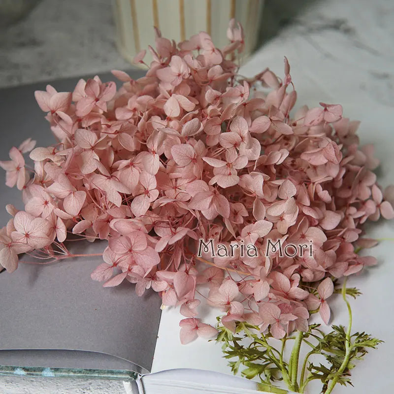 Anna Hydrangea (Color 123-164) Flowers Little Leaves Preserved Hydrangea Home Decor DIY Material Epoxy Resin Handmade Flowers