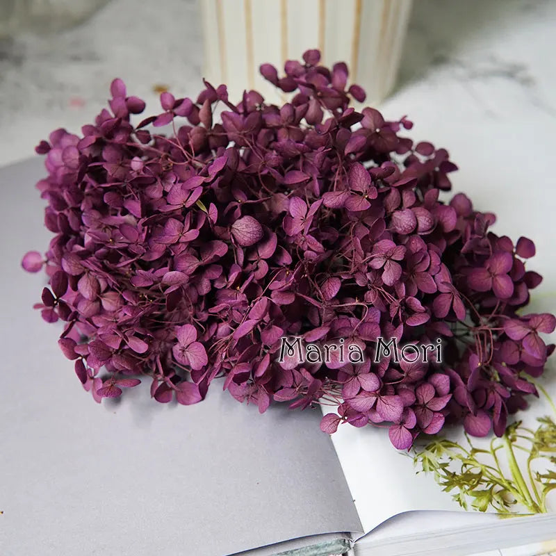 Anna Hydrangea (Color 123-164) Flowers Little Leaves Preserved Hydrangea Home Decor DIY Material Epoxy Resin Handmade Flowers