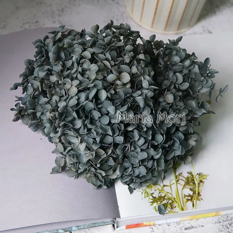 Anna Hydrangea (Color 123-164) Flowers Little Leaves Preserved Hydrangea Home Decor DIY Material Epoxy Resin Handmade Flowers