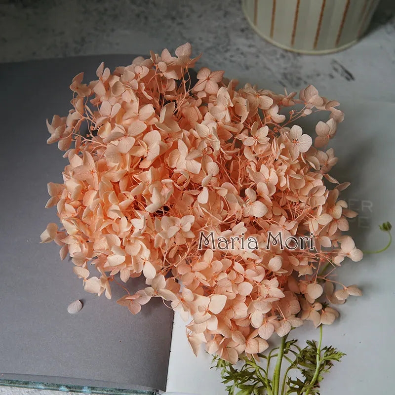 Anna Hydrangea (Color 123-164) Flowers Little Leaves Preserved Hydrangea Home Decor DIY Material Epoxy Resin Handmade Flowers