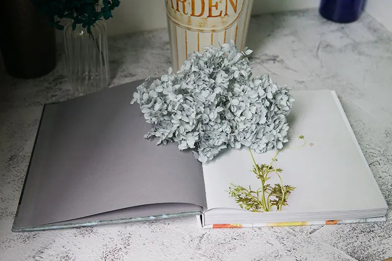 Anna Hydrangea (Color 123-164) Flowers Little Leaves Preserved Hydrangea Home Decor DIY Material Epoxy Resin Handmade Flowers