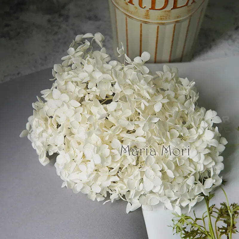 Anna Hydrangea (Color 123-164) Flowers Little Leaves Preserved Hydrangea Home Decor DIY Material Epoxy Resin Handmade Flowers