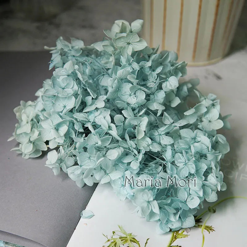 Anna Hydrangea (Color 123-164) Flowers Little Leaves Preserved Hydrangea Home Decor DIY Material Epoxy Resin Handmade Flowers