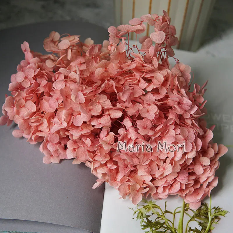 Anna Hydrangea (Color 123-164) Flowers Little Leaves Preserved Hydrangea Home Decor DIY Material Epoxy Resin Handmade Flowers