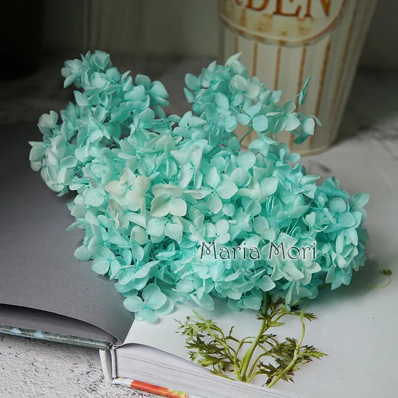 Anna Hydrangea (Color 123-164) Flowers Little Leaves Preserved Hydrangea Home Decor DIY Material Epoxy Resin Handmade Flowers