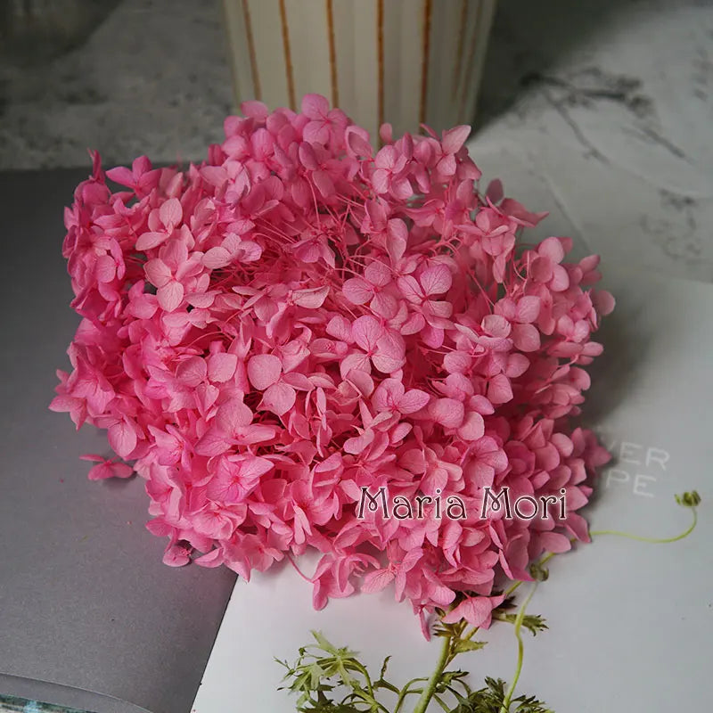Anna Hydrangea (Color 123-164) Flowers Little Leaves Preserved Hydrangea Home Decor DIY Material Epoxy Resin Handmade Flowers