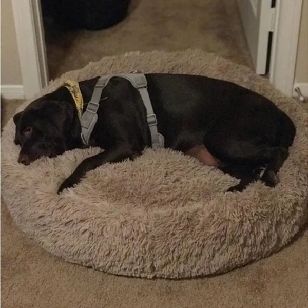 Super Soft Dog Bed Plush Cat Mat Dog Beds For Large Dogs Bed Labradors House Round Cushion Pet Product Accessories