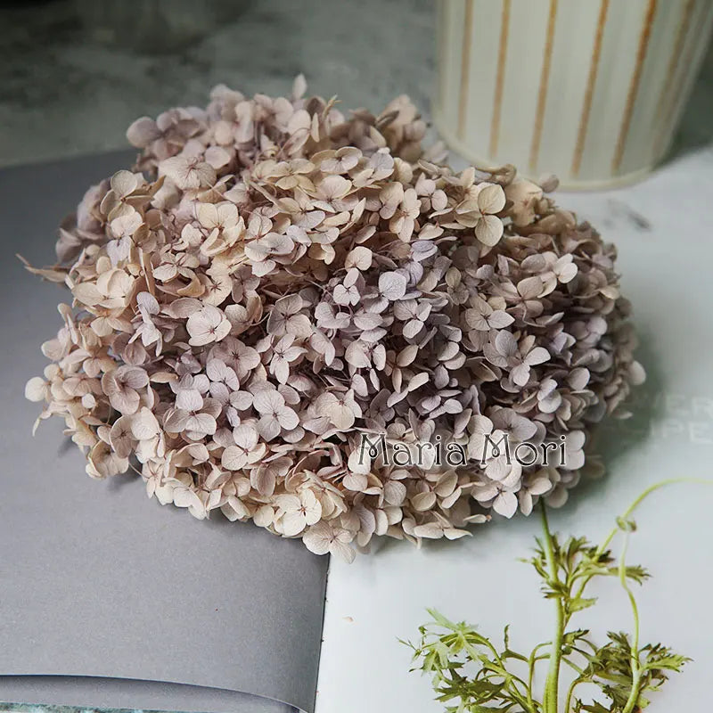 Anna Hydrangea (Color 123-164) Flowers Little Leaves Preserved Hydrangea Home Decor DIY Material Epoxy Resin Handmade Flowers
