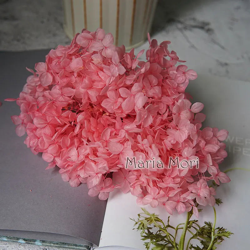 Anna Hydrangea (Color 123-164) Flowers Little Leaves Preserved Hydrangea Home Decor DIY Material Epoxy Resin Handmade Flowers