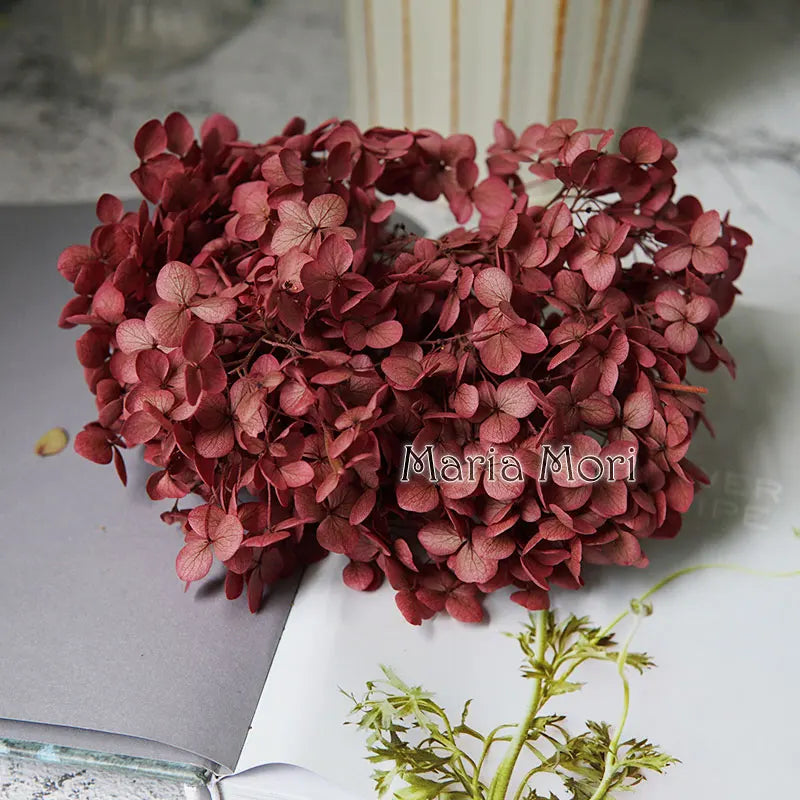 Anna Hydrangea (Color 123-164) Flowers Little Leaves Preserved Hydrangea Home Decor DIY Material Epoxy Resin Handmade Flowers