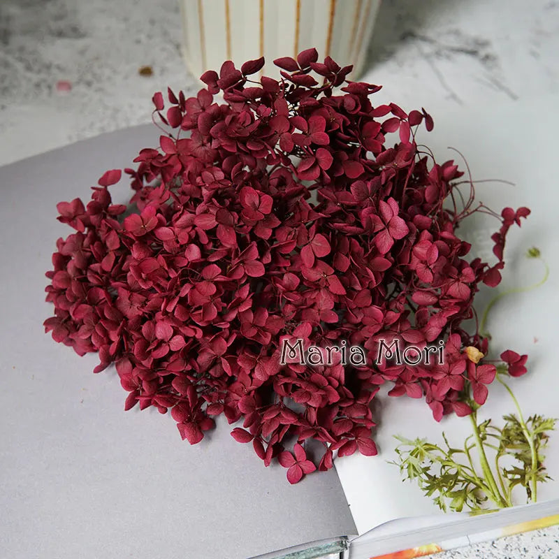 Anna Hydrangea (Color 123-164) Flowers Little Leaves Preserved Hydrangea Home Decor DIY Material Epoxy Resin Handmade Flowers