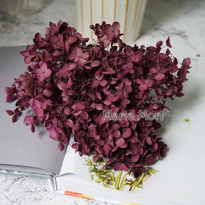 Anna Hydrangea (Color 123-164) Flowers Little Leaves Preserved Hydrangea Home Decor DIY Material Epoxy Resin Handmade Flowers