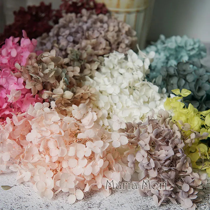 Anna Hydrangea (Color 123-164) Flowers Little Leaves Preserved Hydrangea Home Decor DIY Material Epoxy Resin Handmade Flowers