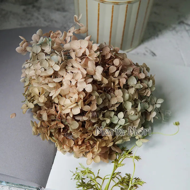 Anna Hydrangea (Color 123-164) Flowers Little Leaves Preserved Hydrangea Home Decor DIY Material Epoxy Resin Handmade Flowers
