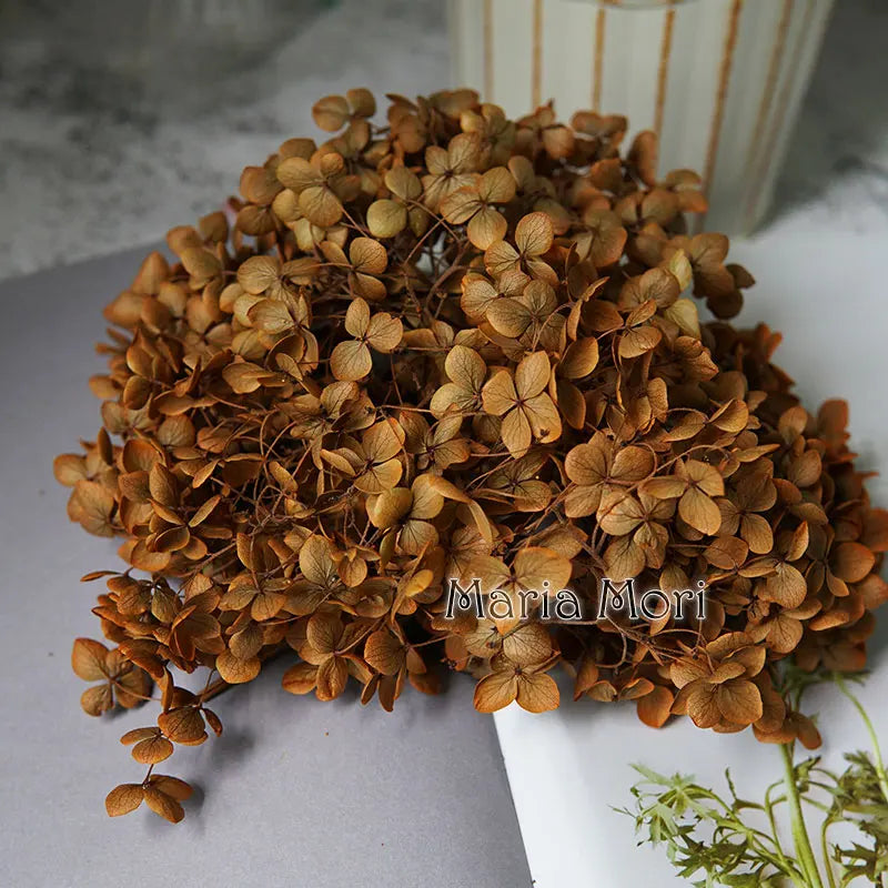 Anna Hydrangea (Color 123-164) Flowers Little Leaves Preserved Hydrangea Home Decor DIY Material Epoxy Resin Handmade Flowers