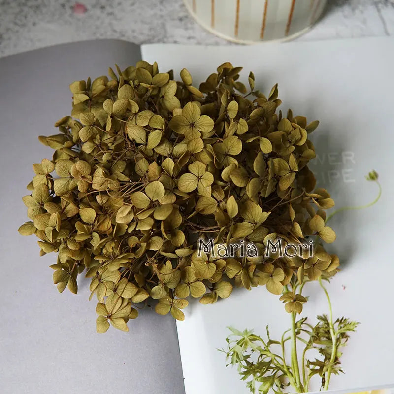 Anna Hydrangea (Color 123-164) Flowers Little Leaves Preserved Hydrangea Home Decor DIY Material Epoxy Resin Handmade Flowers