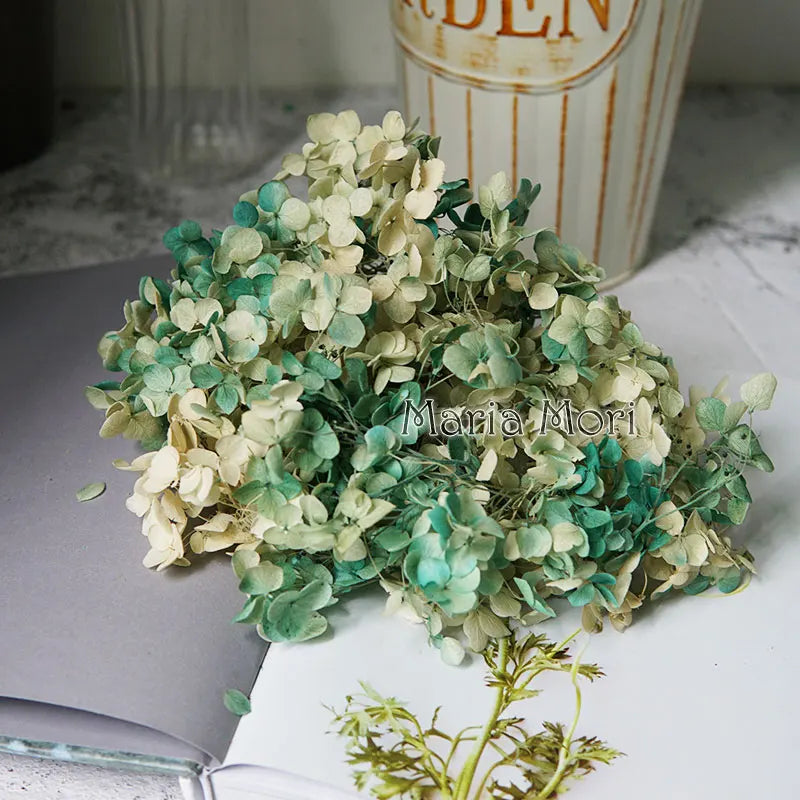 Anna Hydrangea (Color 123-164) Flowers Little Leaves Preserved Hydrangea Home Decor DIY Material Epoxy Resin Handmade Flowers