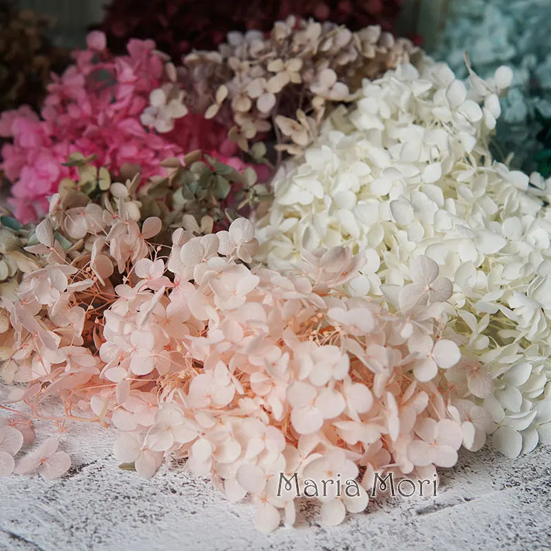 Anna Hydrangea (Color 123-164) Flowers Little Leaves Preserved Hydrangea Home Decor DIY Material Epoxy Resin Handmade Flowers