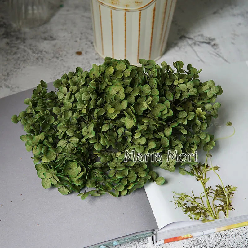 Anna Hydrangea (Color 123-164) Flowers Little Leaves Preserved Hydrangea Home Decor DIY Material Epoxy Resin Handmade Flowers